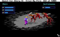 Quest for Glory II: Trial by Fire