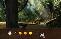 Secret Files 2: Puritas Cordis (Wii)