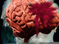 CSI: Deadly Intent – The Hidden Cases (Nintendo DS)