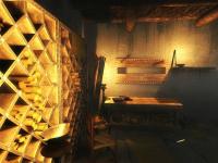 Cleopatra: El destino de una reina