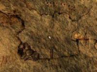 El secreto de la caverna perdida