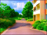 Hope Springs Eternal