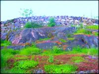 Hope Springs Eternal