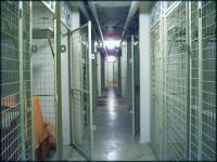 Hope Springs Eternal