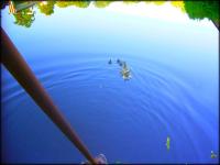 Hope Springs Eternal