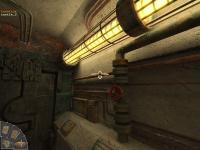 The Island: The Earthing