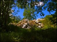 The Colour of Murder