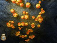 Viaje al Centro de la Luna