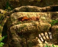 El secreto de la caverna prohibida (DVD-i)