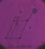 The Secrets Of Da Vinci: El manuscrito prohibido