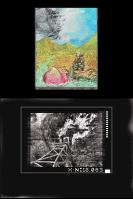 Ace Attorney: Apollo Justice