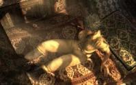 Last King of Africa (NDS)