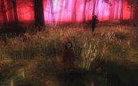 The Path