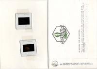 Meurtre à Grande Vitesse