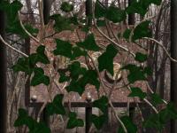 3 Cards to Dead Time