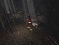 Amerzone: The Explorer's Legacy