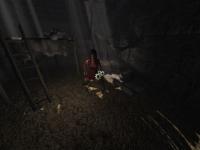 Amerzone : The Explorer's Legacy