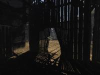 Amerzone : The Explorer's Legacy