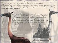 Amerzone : The Explorer's Legacy