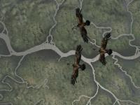 Amerzone : The Explorer's Legacy