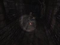 Darkness Within: In Pursuit of Loath Nolder