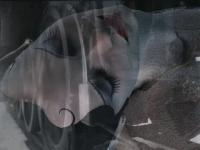 Dracula 2: The Last Sanctuary