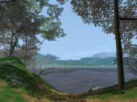 Merlín: El camino del druida