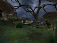 Merlín: El camino del druida