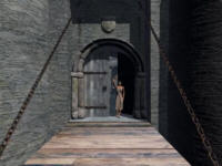 Merlín: El camino del druida