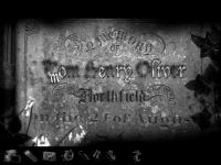 The Lost Crown: A Ghosthunting Adventure