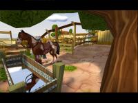 The Westerner