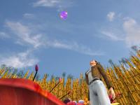 Viaje al Centro de la Tierra