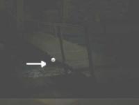 Aurora: The Secret Within