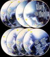¡Los ocho CDs de la aventura!