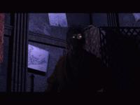 Haz click en la imagen para agrandarla Last Half of Darkness: Beyond the Spirit's Eye