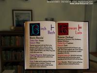 Haz click en la imagen para agrandarla Rhiannon - Beyond the Mabinogion